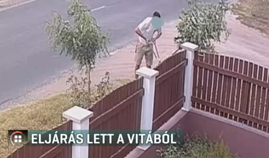 Két facsemete kivágása borzolja a kedélyeket Kecskeméten