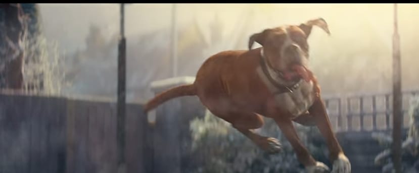 A boxer viszi a show-t az idei karácsonyi szezonindító John Lewis-reklámfilmben