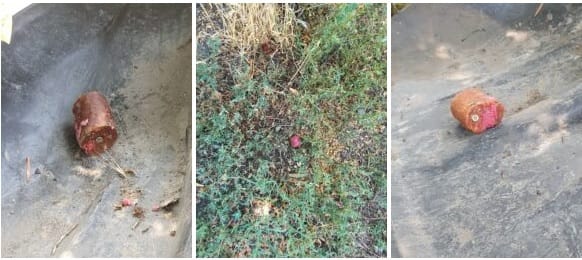 Mérgezett étellel állítanak csapdát kutyáknak Józsefvárosban