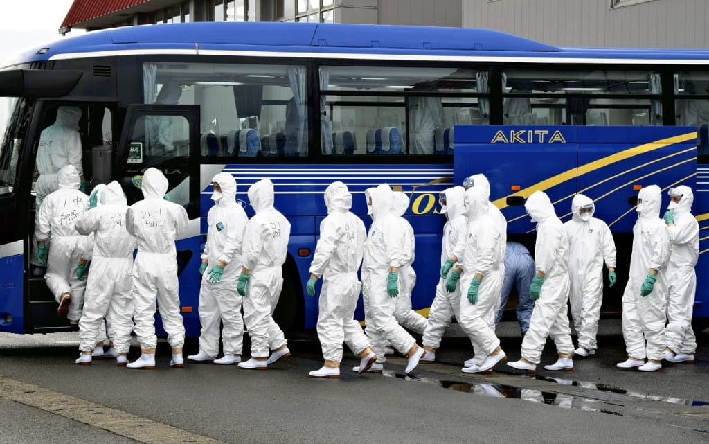 143 ezer csirkét kellett leölni Japánban a madárinfluenza miatt