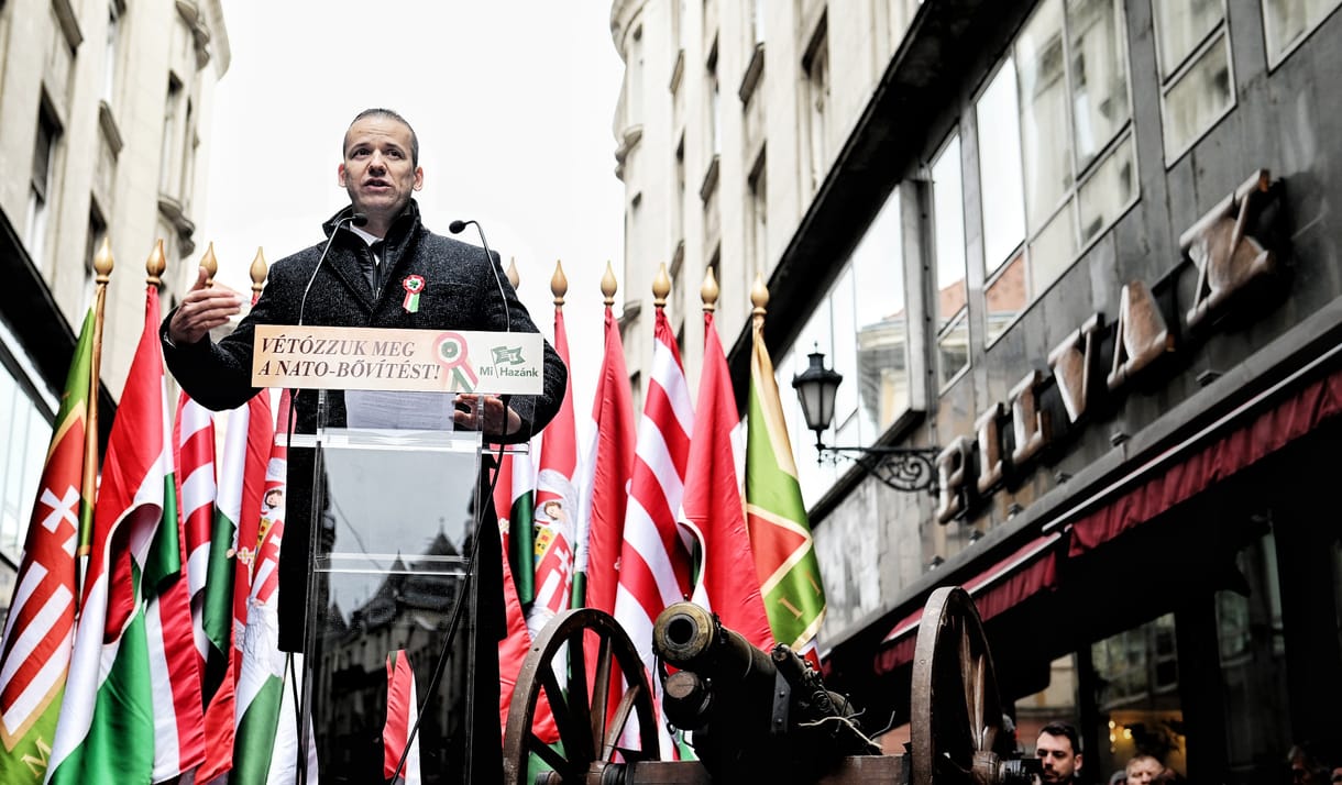 Závecz: A Fidesz csökkent, a nyár nyertese a Mi Hazánk és a Kutyapárt