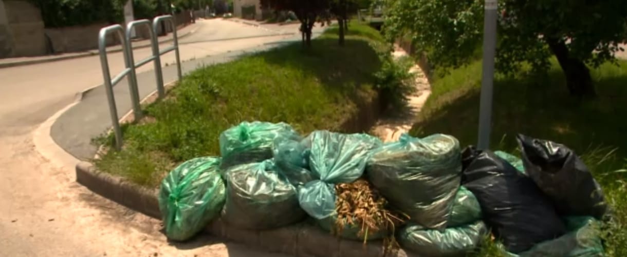 A központosítás mellékhatásaként hetek óta rohad az utcán a budaörsi zöldhulladék