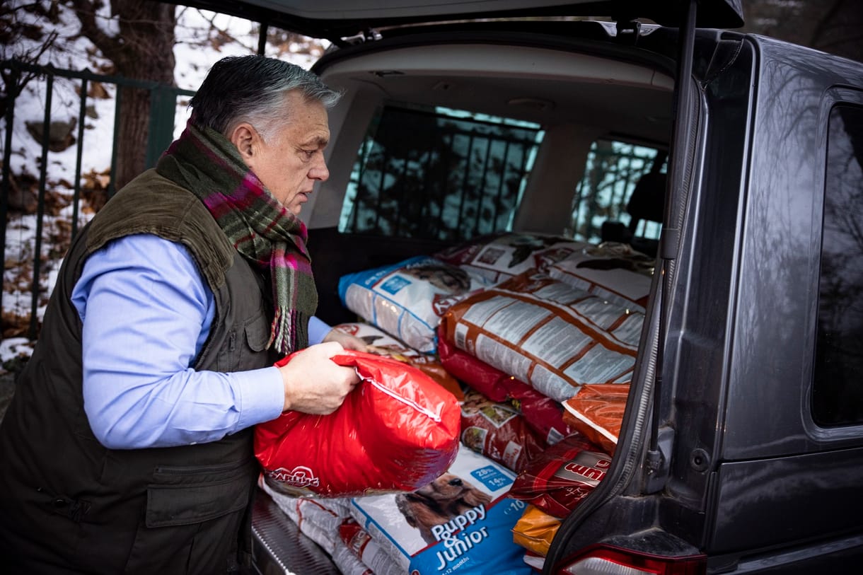 Helló, blökik! – Orbán állatotthonban járt