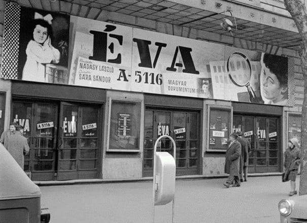 Az auschwitzi árva – Ewa Krcz egyszerre magyar, lengyel és zsidó története 