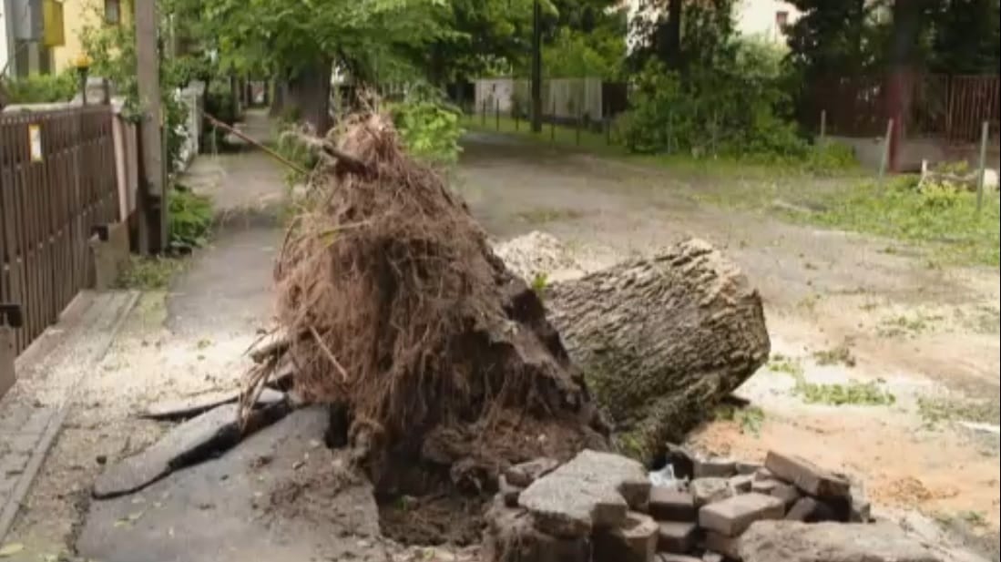 Durva károkat okozott a hétvégi jégeső, Debrecenben fákat csavart ki a vihar – videó