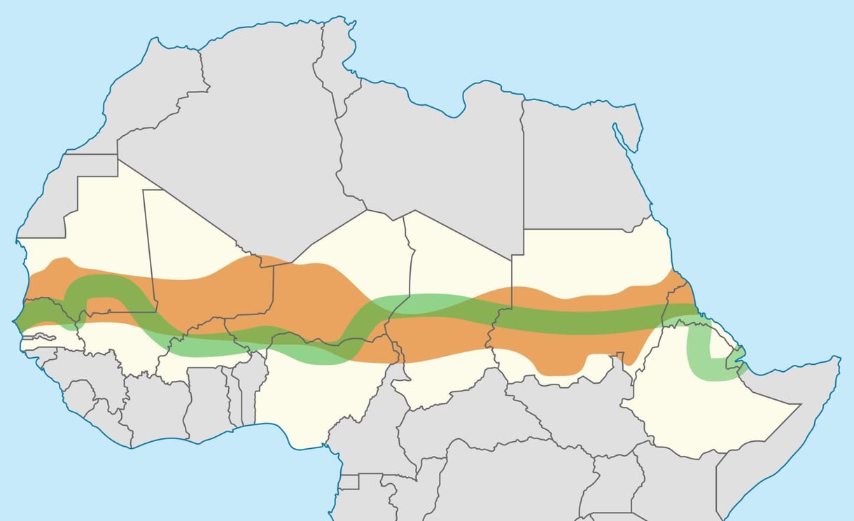 8000 km hosszú, 15 km széles zöld sávot húznának fel Afrikában