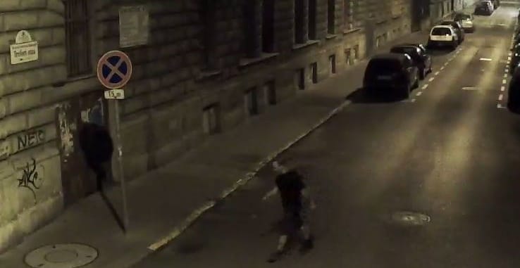 Turistákat szurkált meg a Rákóczi úti késelő - így történt