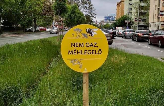 Most indul a kaszálás a méhlegelőkön, már amit a Fidelitas meghagyott