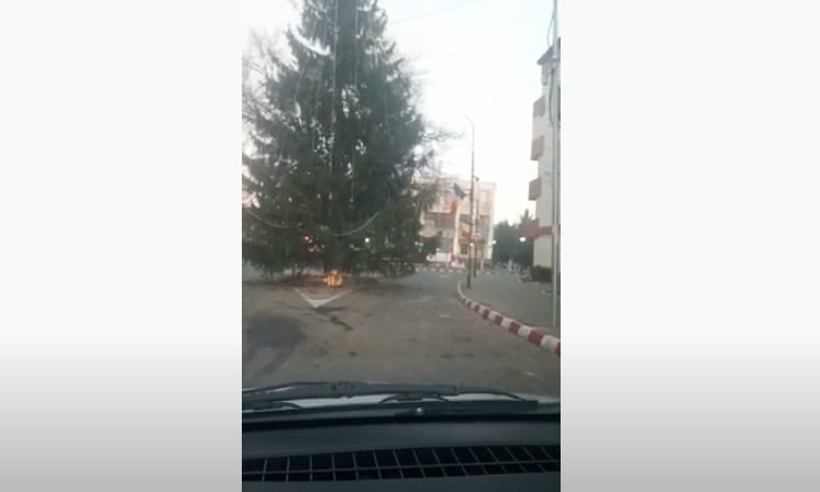 Hatalmas fenyőfát állítottak egy útelágazáshoz Romániában