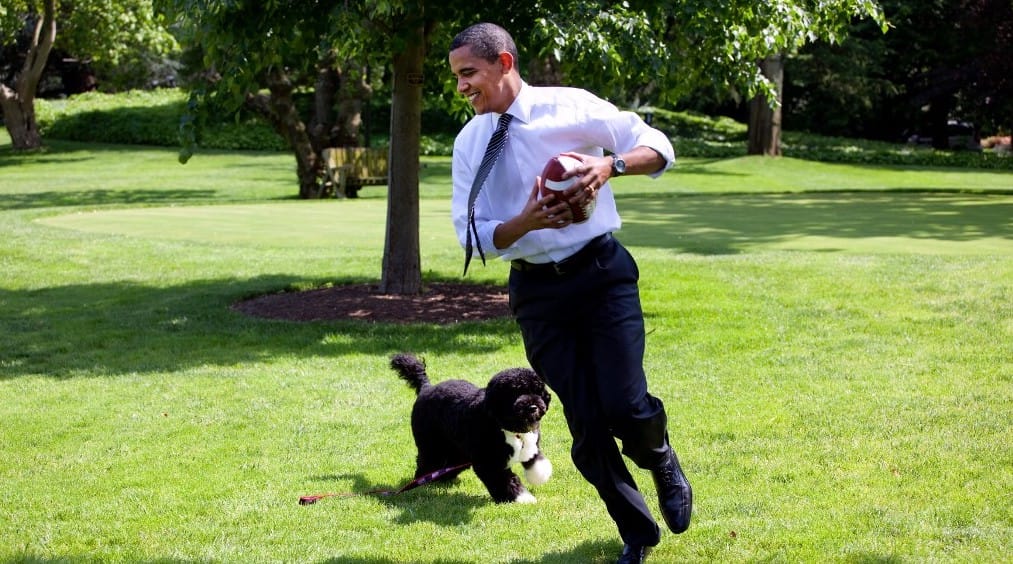Barack Obama közzétette, milyen zenéket hallgat idén nyáron