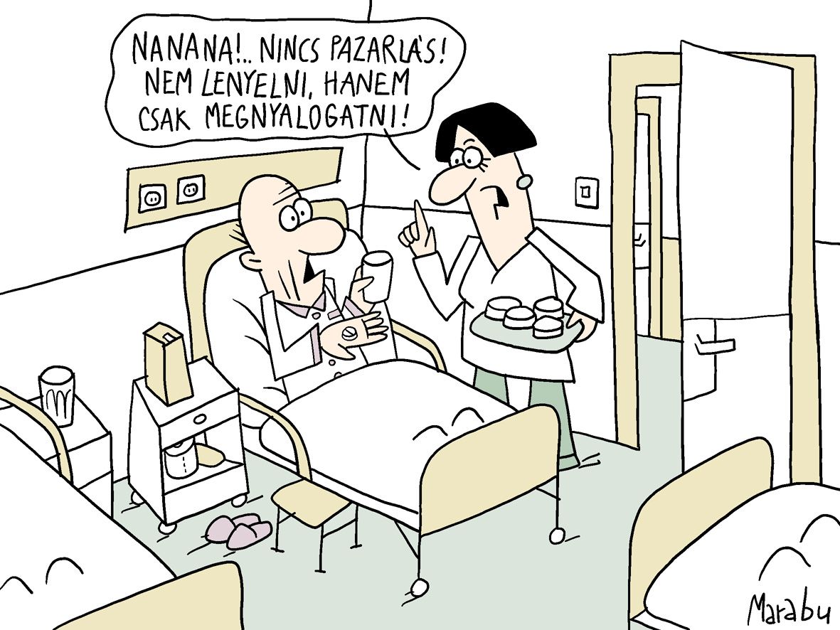 Magnus Carlsen sakkmester