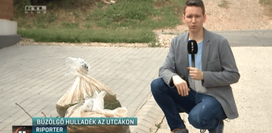 Hetekig az utcán rohad a zöldhulladék