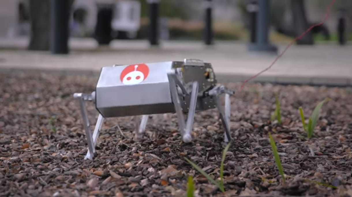 Ugrik, szaltózik, épp csak nem ugat: mókás robotkutyát fejlesztettek