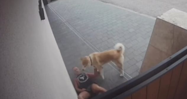 Schobert Norbert kitette a videót arról, ahogy sztrókot kap – egy óra múlva vitték csak el a mentők
