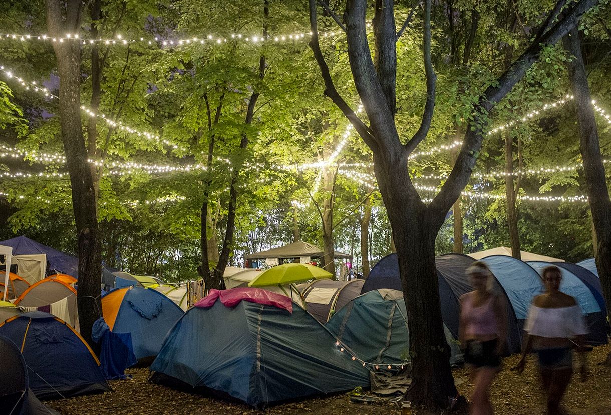 Tolvajt fogtak a Szigeten