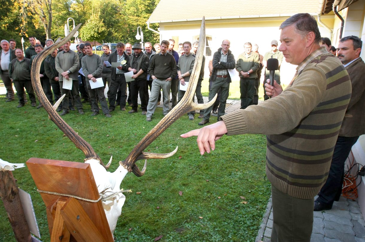 Hatvan viszi a vadászpuskát: milliókat venne el Matolcsytól egy fideszes