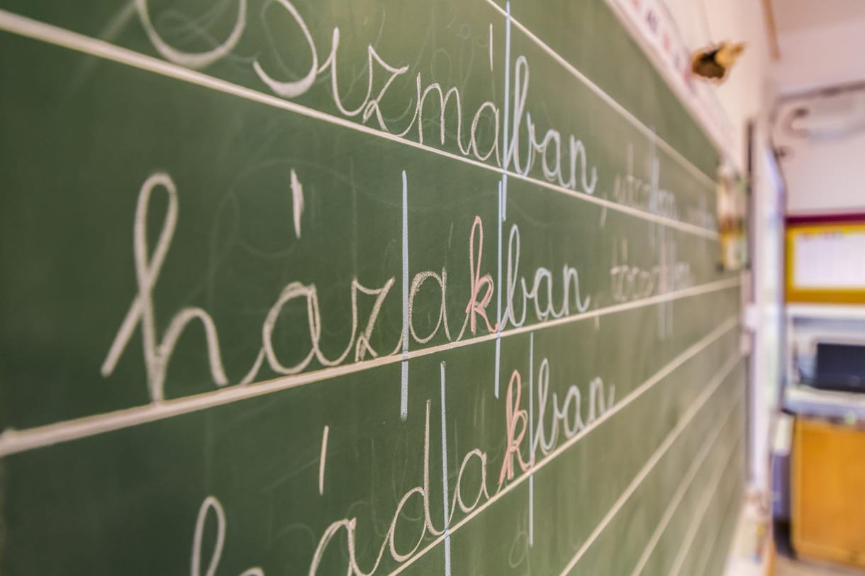 Az MTA felajánlotta, hogy segít a Nemzeti alaptantervben, de a kormány nem kért belőle