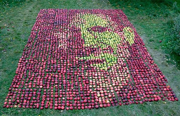 3750 almából rakták ki Steve Jobs arcképét