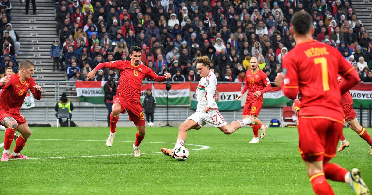 Bohár Dániel nem tudta feldolgozni, hogy a Momentum is gratulált a magyar válogatottnak