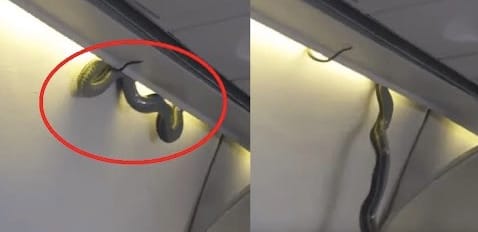 Ez az a rémálom, amit repülőre ülve soha nem akar látni – videó
