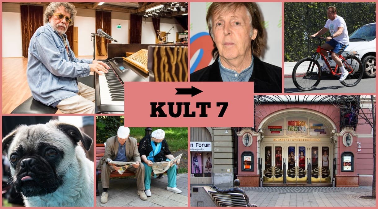 Fura adalék a Beatles-sztorihoz, betiltanak egy kiskutyát - olvasta ezeket? Tesztelje!
