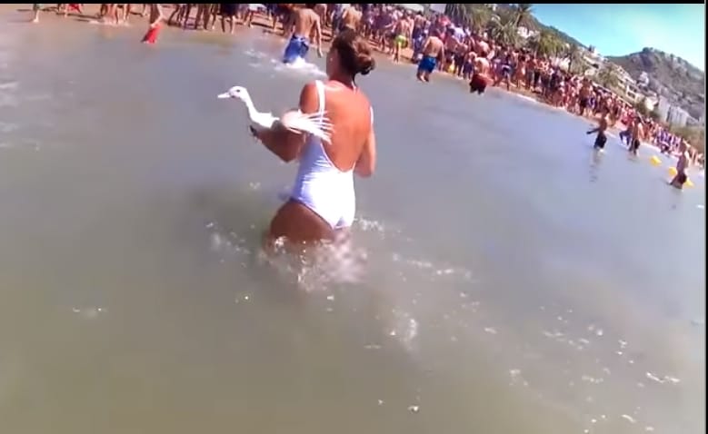 Győztek az állatvédők, betiltanak két durva katalóniai hagyományt - videó