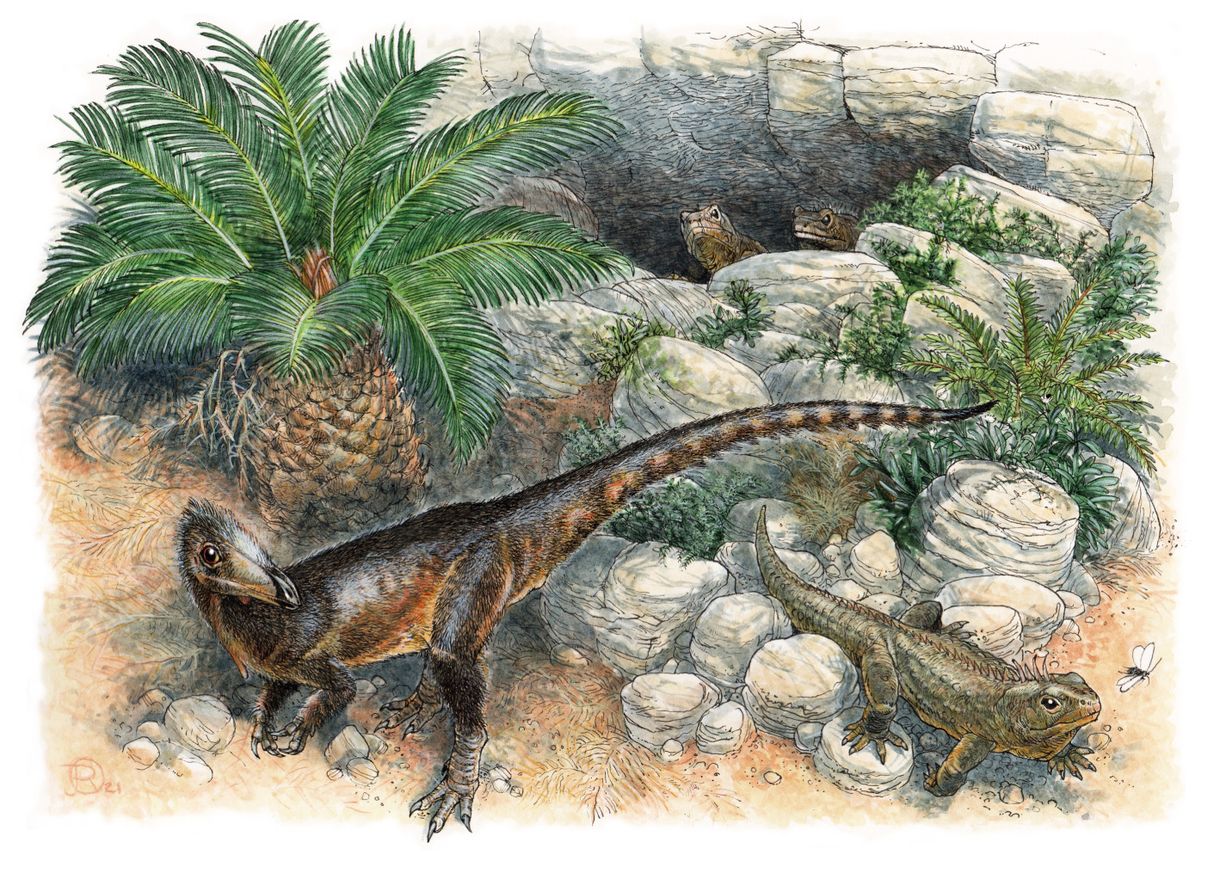 Új dinoszauruszfajt azonosítottak brit kutatók
