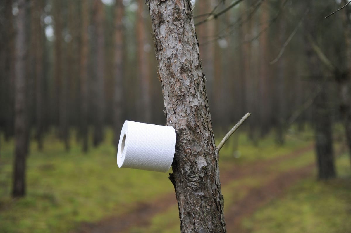 Megnyugodhat, lesz elég vécépapír 