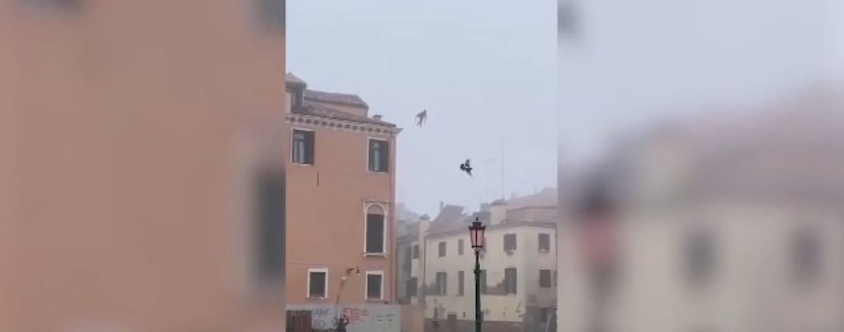 Videón, ahogy háztetőről veti bele magát valaki Velence egyik csatornájába