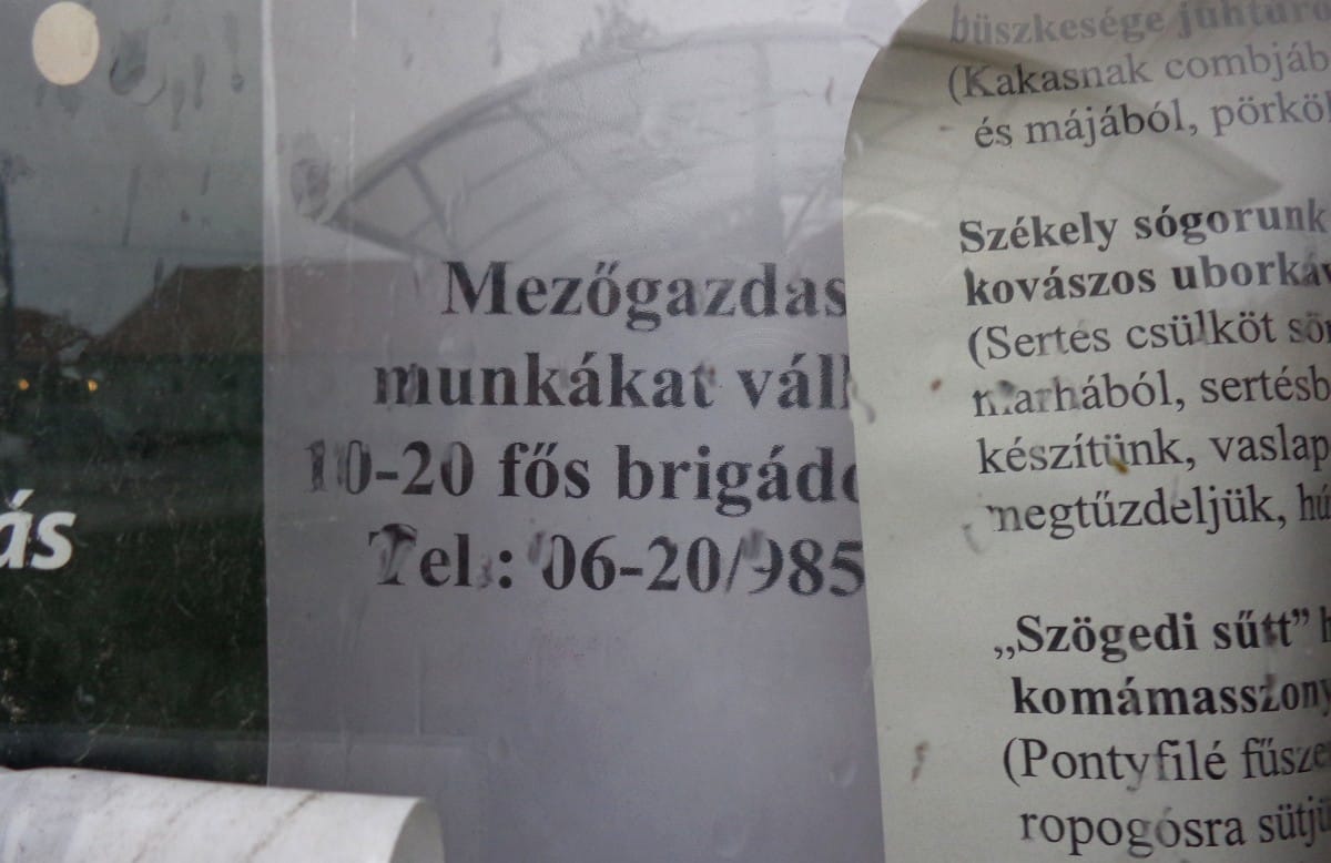 Van munka, hát, jöttünk – romániai napszámosok Magyarországon