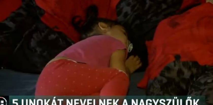 Kellene még némi segítség az öt unokát nevelő nagyszülőknek