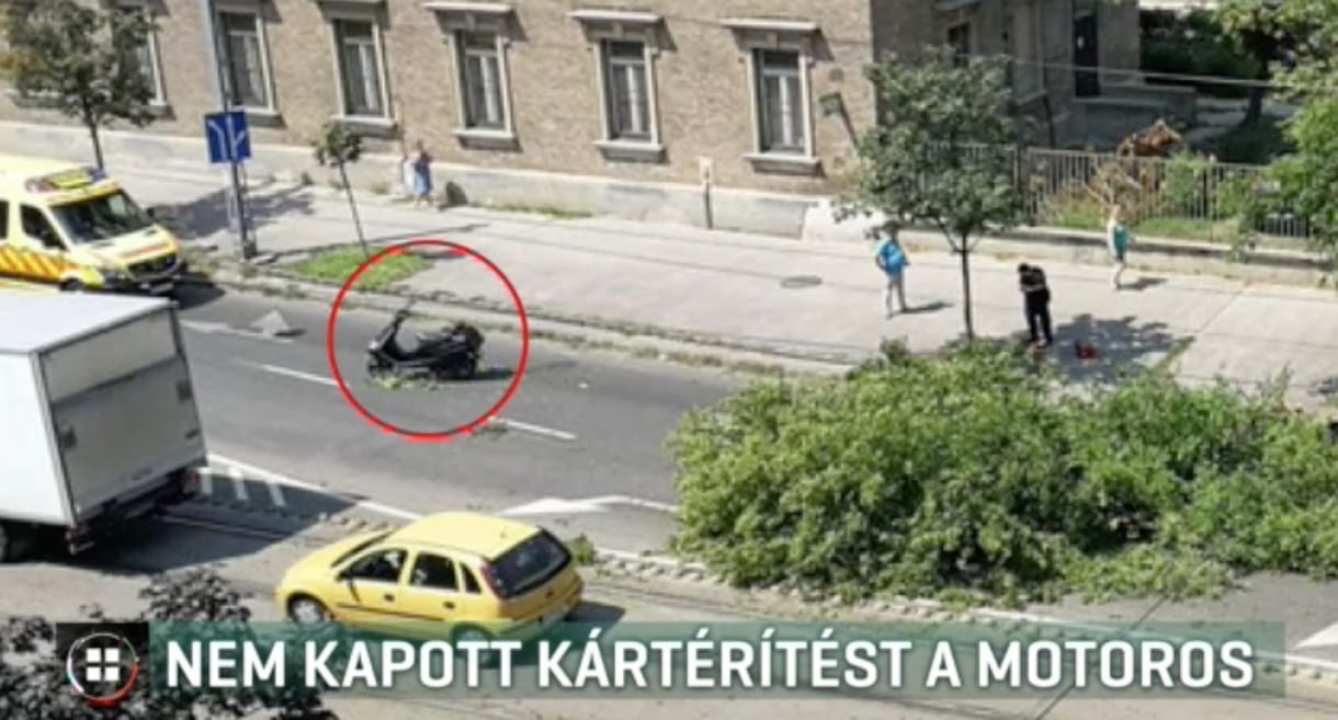 Eltört a motoros gerince a rázuhant vastag ágtól, 22 milliós kártérítést kér