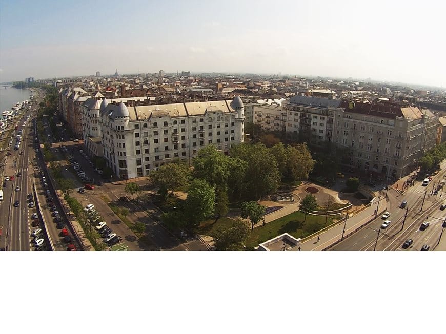 Már lehet szavazni a Jászain álló platánra az Év Fája versenyen