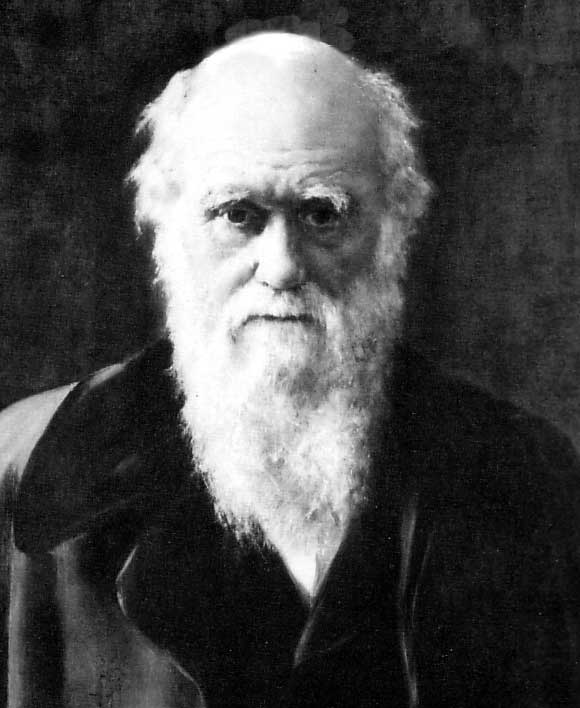 Intim titkokat közölnek Darwin levelezéseiből
