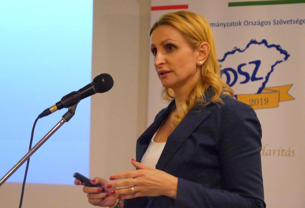 Már főigazgatója is van a nem létező Fudan Egyetemet fenntartó alapítványnak