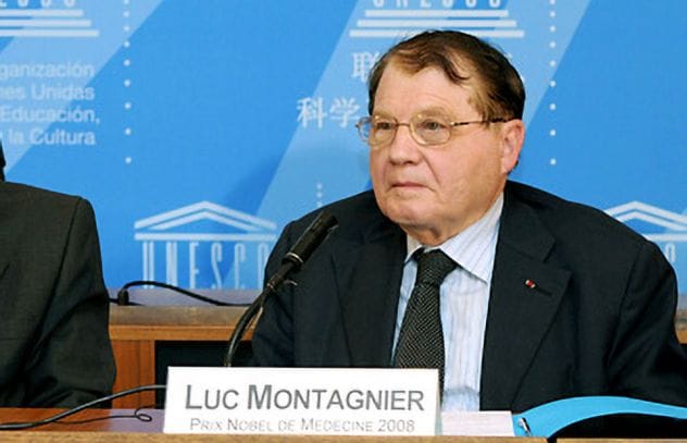 Senki sem értette a titokzatos vírust, aztán jött Montagnier, aki rájött: ez a HIV