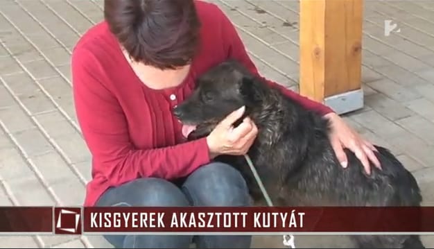 10 éves gyerek akasztott fel egy kutyát (videó)