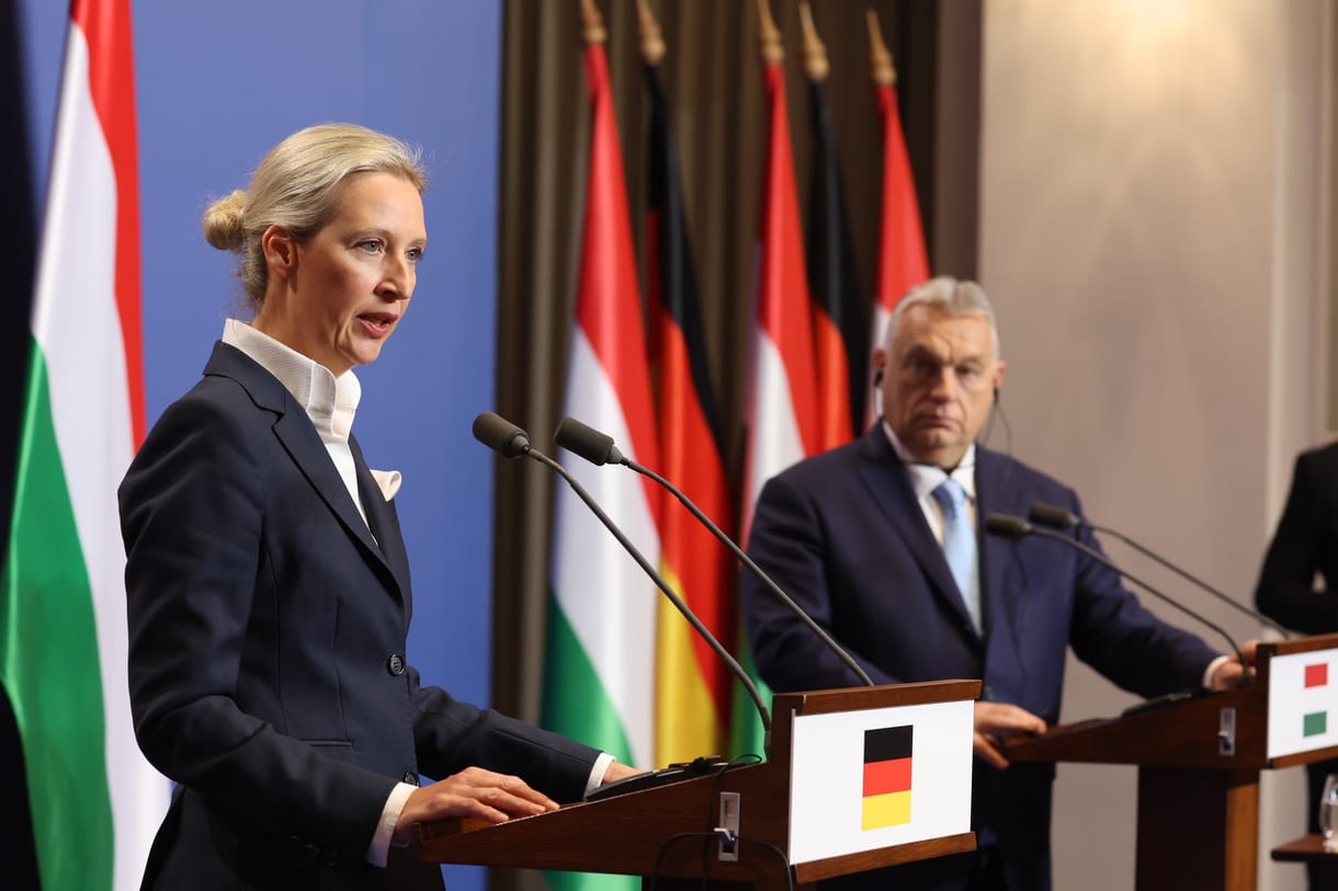 A német választás után az AfD csatlakozhat a Fidesz EP-frakciójához