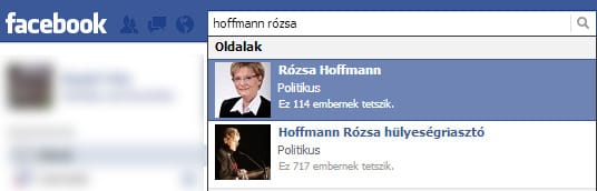 Hoffmann Rózsa és a digitális kompetenciák