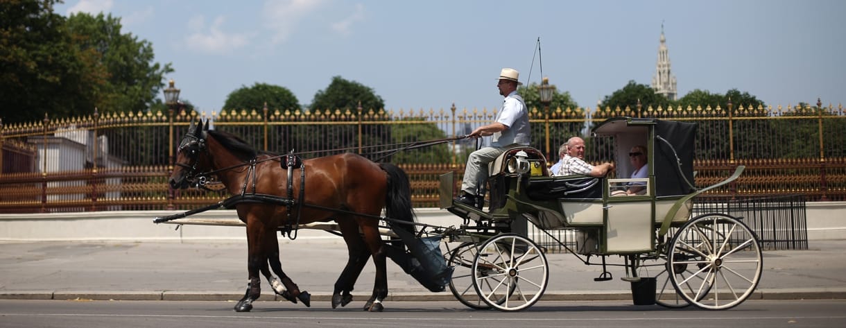 Hőségben pihenhetnek a fiákerlovak Bécsben