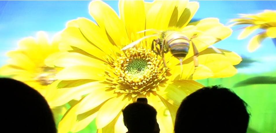 Világrekord: több mint öt méteres, 3D-s kijelző [videóval]
