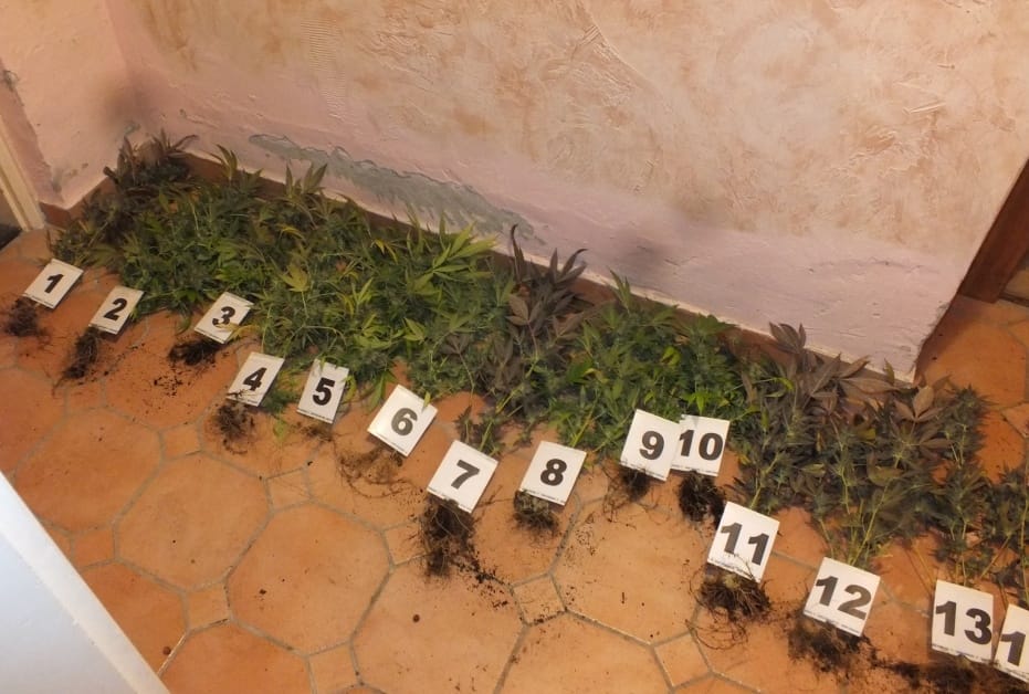 Kendert és lőfegyvert találtak a rendőrök Szegeden