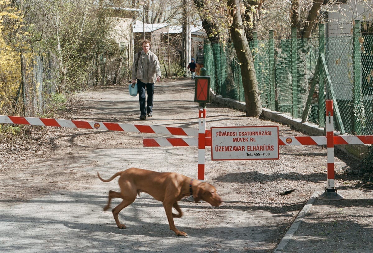 Napi: kétmilliárdos gát épül a Rómain