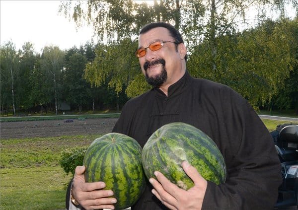 Steven Seagalt ismét zaklatással vádolják