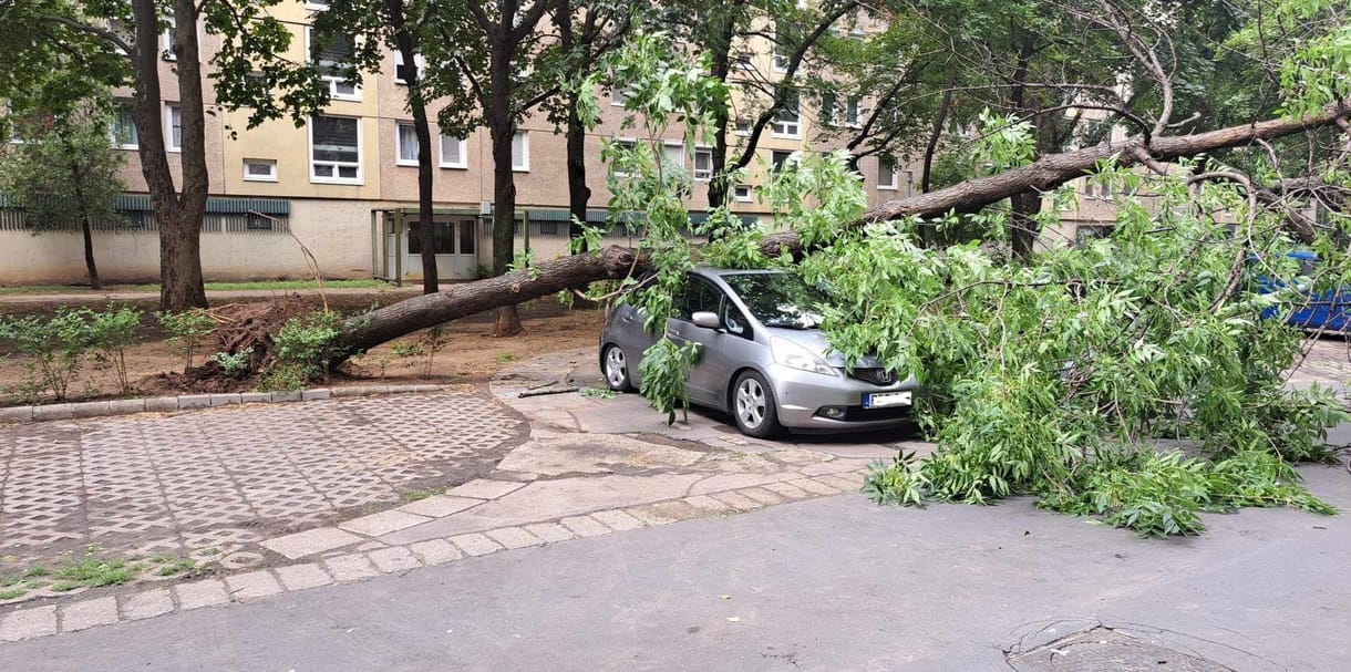 Akár 4,5 milliárd forintnyi kárt is okozhattak a múlt heti viharok