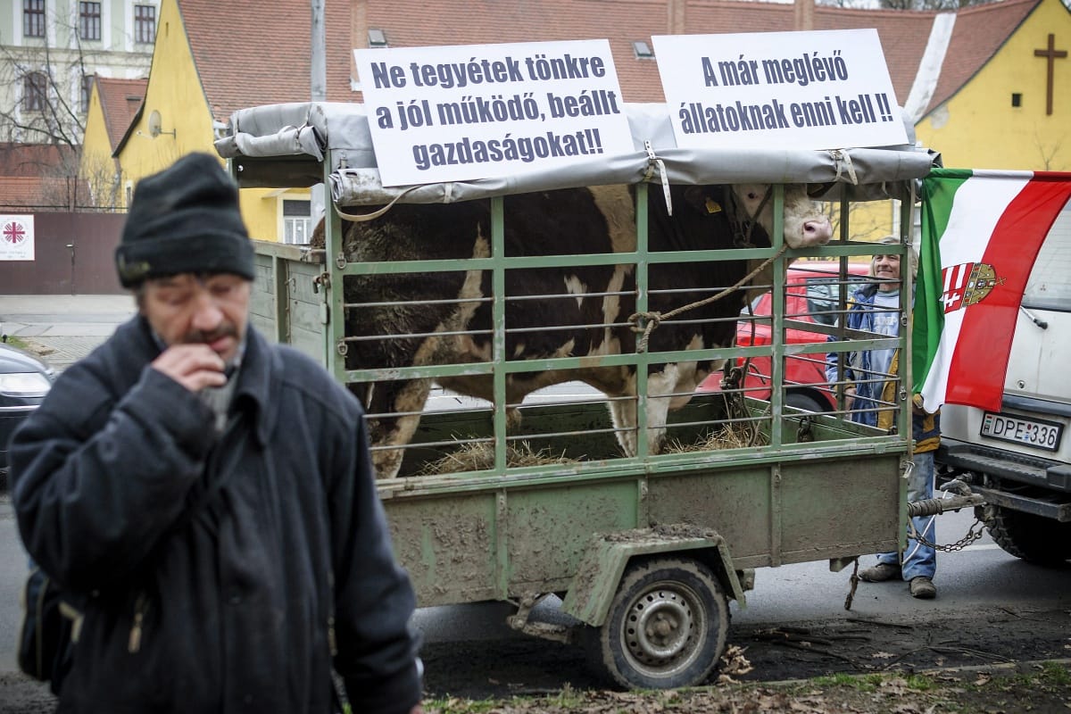 Fotók: gazdák tüntettek a földmutyi ellen Debrecenben