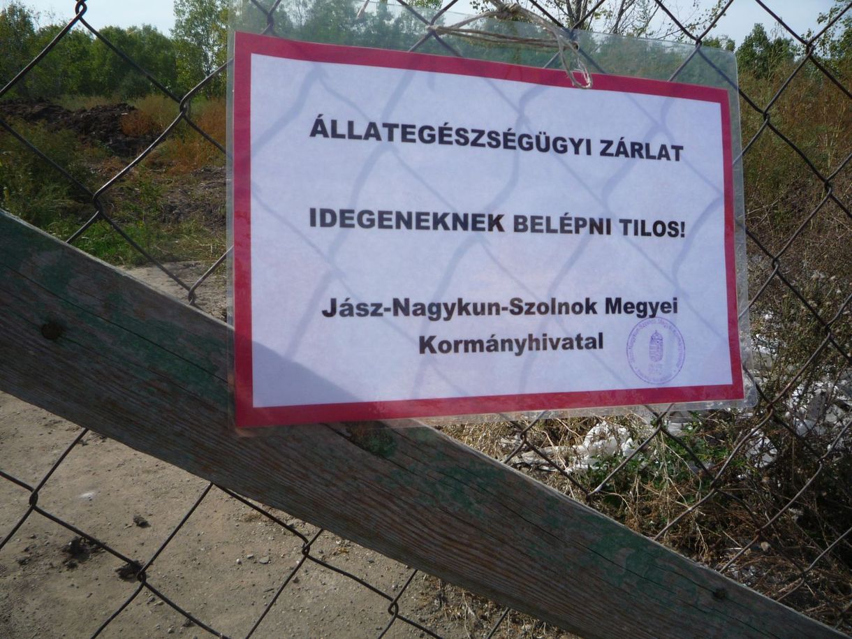 Tiszaföldvári sertéshorror: Megúszhatják a börtönt a vétkesek?