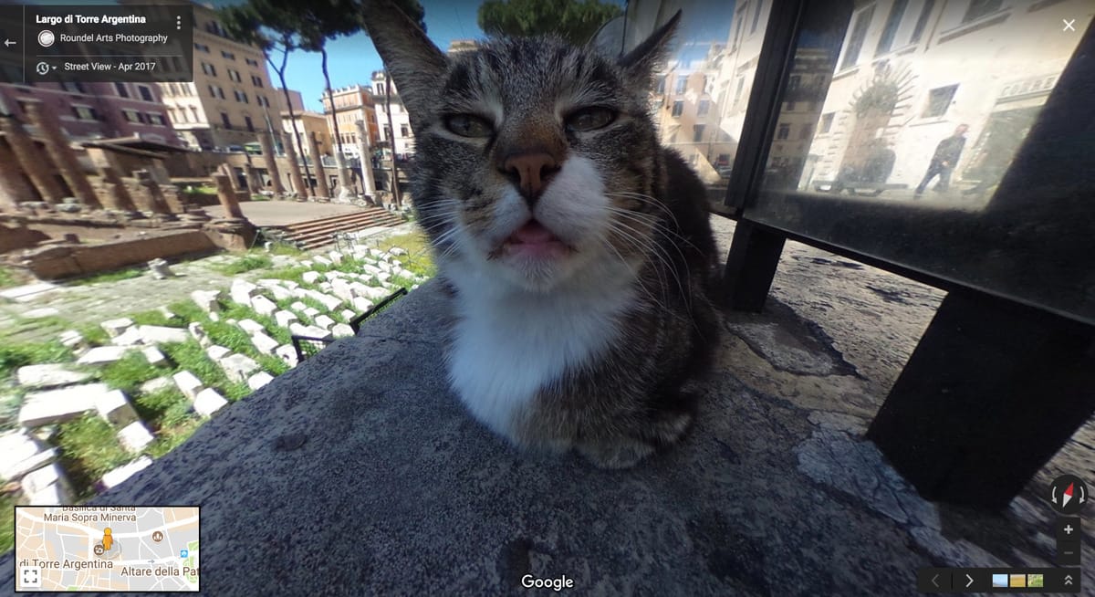 Csak forgatja a Google Street View-t, és egyszer csak önre csodálkozik egy macska