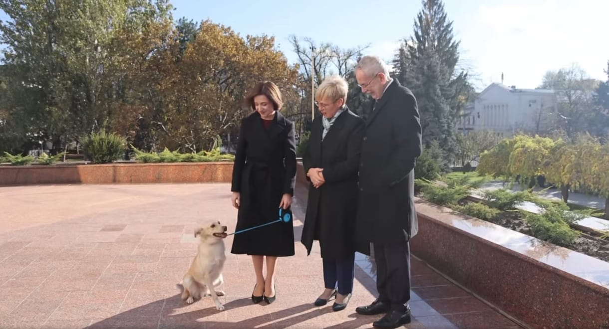 A moldovai elnök háromlábú kutyája megharapta az osztrák elnököt – videó