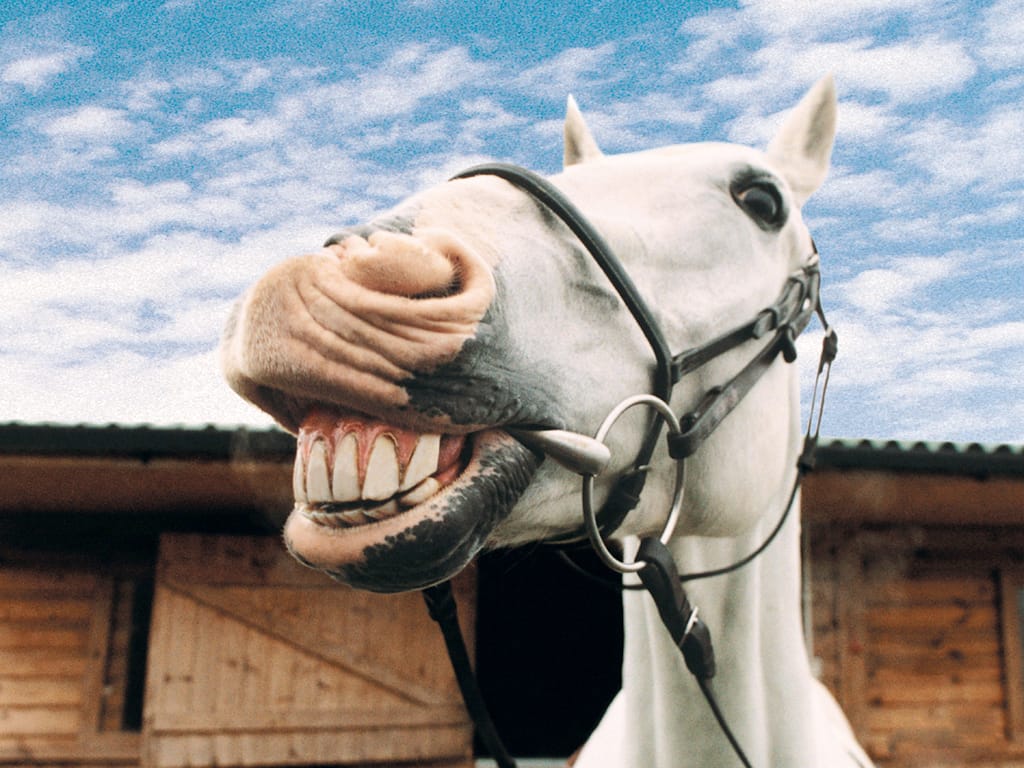 Csiklandós állatokkal kutatják a nevetés evolúcióját